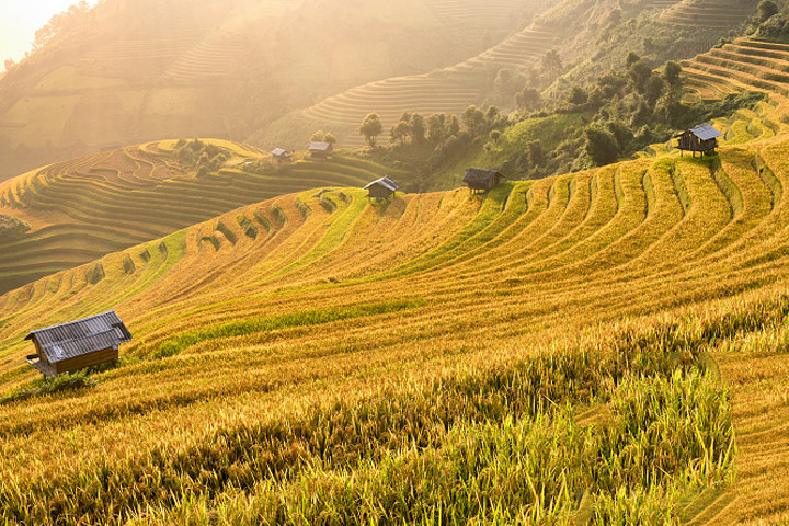 Tour du lịch Sapa 3 ngày 2 đêm